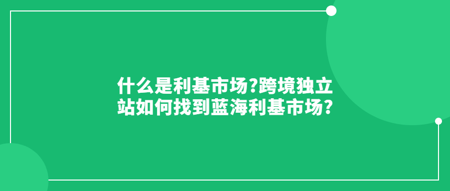 什么是利基市場?跨境獨立站如何找到藍海利基市場?