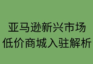 亞馬遜新興低價商城入駐條件解析
