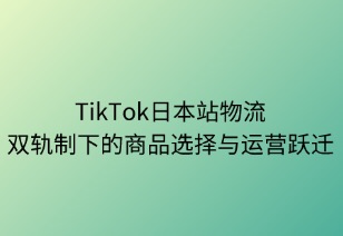 雙軌制下的商品選擇與運營躍遷