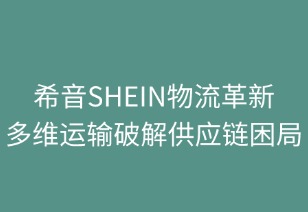 希音物流革新：多維運輸策略破解全球供應(yīng)鏈困局