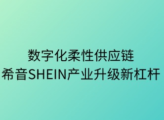 數(shù)字化柔性供應(yīng)鏈：產(chǎn)業(yè)升級(jí)新杠桿